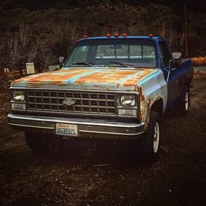 Meet your Posher, Riley